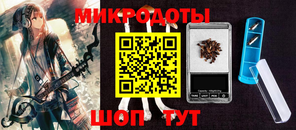 Галлюциногенные грибы Cubensis Тимашёвск