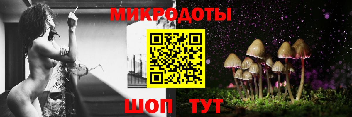 Тимашёвск  Галлюциногенные грибы мицелий  цена   Вход с VPN 